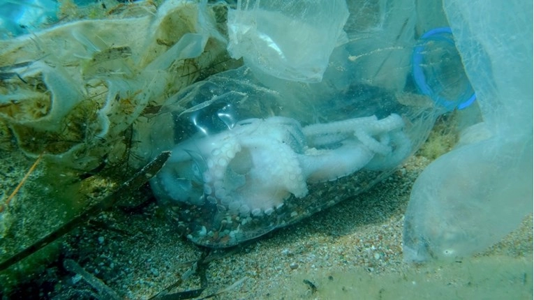 Istraživanje: Na morskom dnu nalazi se do 11 milijuna tona plastičnog otpada